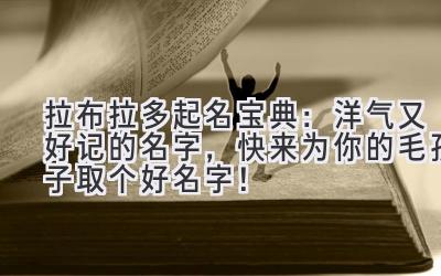   拉布拉多起名宝典：洋气又好记的名字，快来为你的毛孩子取个好名字！ 